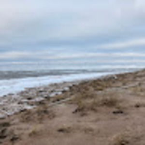 Meet your Posher, Alanna